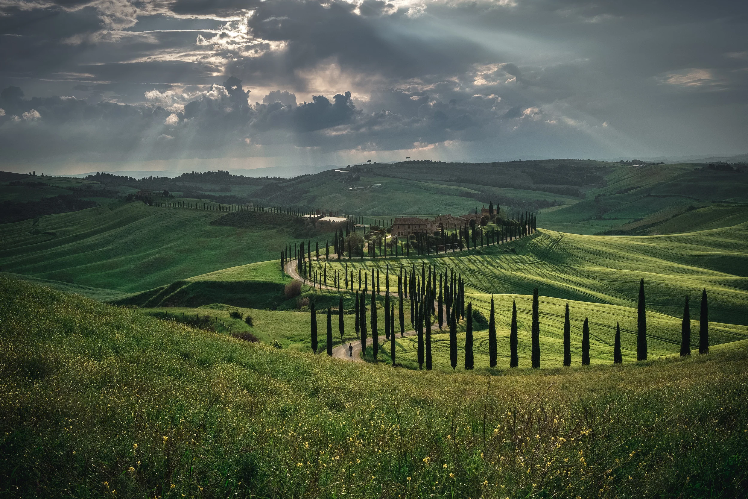 TUSCANY IN SPRING WORKSHOP — Andy Mumford Photography